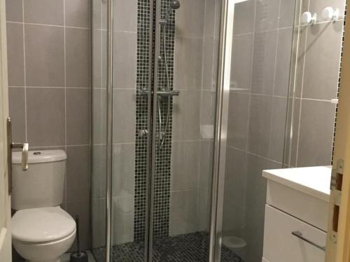 uma casa de banho com um WC e uma cabina de duche em vidro. em Gîte Crannes-en-Champagne, 3 pièces, 5 personnes - FR-1-410-315 em Crannes-en-Champagne