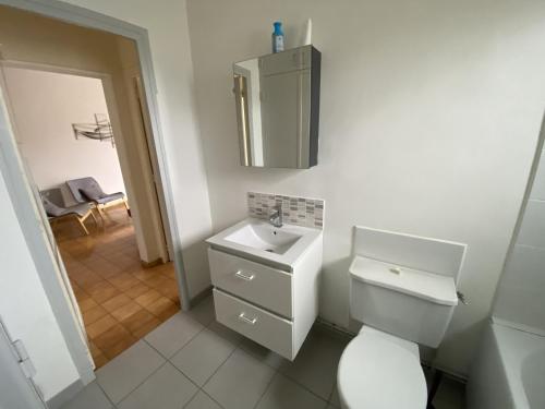 a bathroom with a white toilet and a sink at Appartement T3 Centre-ville La Roche-Posay, Balcon, Wi-Fi, Proximité Thermes et Commerces - FR-1-541-76 in La Roche-Posay