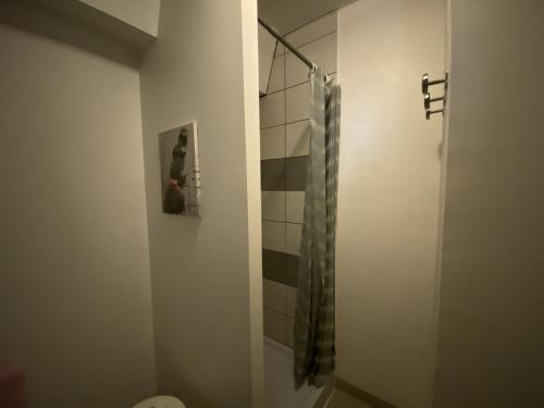 a bathroom with a shower and a toilet in it at Appartement moderne T2 avec Wi-Fi en centre-ville, à proximité des Thermes de La Roche-Posay - FR-1-541-78 in La Roche-Posay
