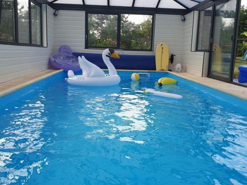 - une piscine avec deux cygnes dans l'eau dans l'établissement Gîte Confortable près du Mans avec Piscine, Parc de Jeux et Vélo - FR-1-410-364, à Louplande