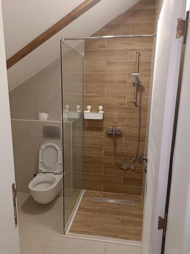 a bathroom with a toilet and a glass shower at Fruškogorski Đeram in Grgeteg