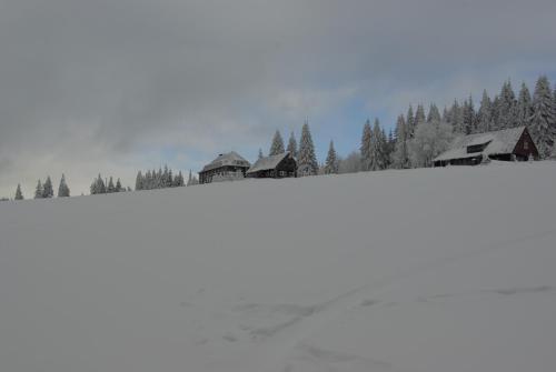 a group of houses on a snow covered hill with trees at Cihlářská bouda, apartmán 307 in Cerny Dul