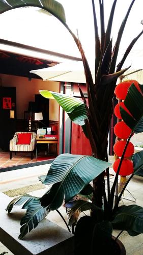 a plant in a room with a living room at 依山行館 浪漫恬靜的落腳處 in Jincheng