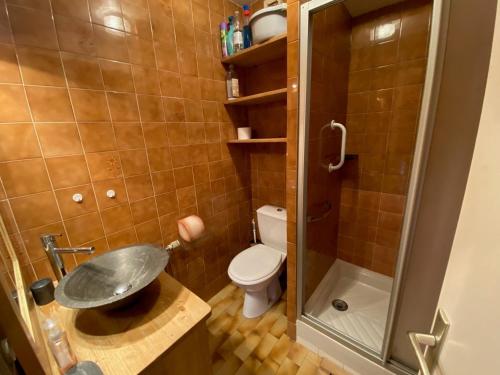 a bathroom with a sink and a toilet and a shower at Charmant Studio Cabine proche des Pistes, Village et Commerces - Location Idéale La Clusaz - FR-1-459-200 in La Clusaz