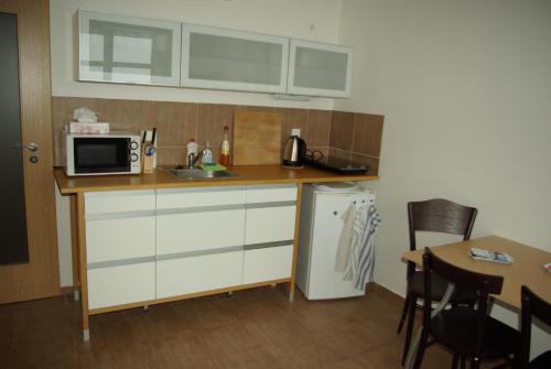 Kuchyň nebo kuchyňský kout v ubytování Cihlářská bouda, apartmán 307
