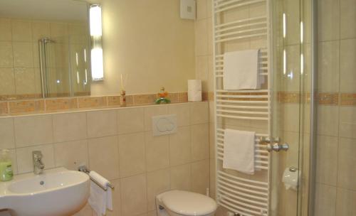 a bathroom with a toilet and a sink and a shower at Ferienwohnung Lenneplätze in Winterberg