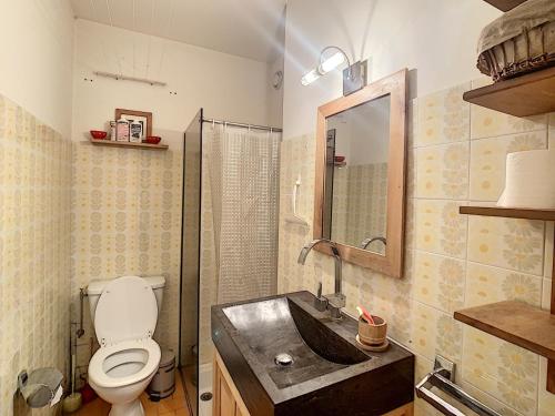 une salle de bain avec toilettes, lavabo et miroir dans l'établissement Studio de 25m² au pied des pistes avec kitchenette, terrasse et casier à skis - FR-1-560-57, à Combloux