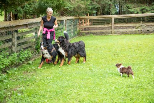 アパートメントの敷地内または近くにいる動物