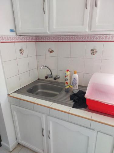 eine Küchentheke mit einer Spüle und einem roten Behälter in der Unterkunft hamdan retreat villa in Grand Baie