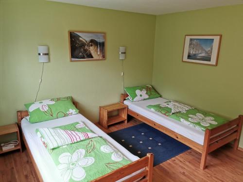 two beds in a room with green walls at Haus Post in Todtnau