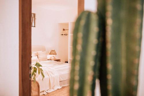 a bedroom with a bed and a green cactus at Hotel Sages in Canggu