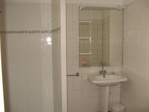 a bathroom with a sink and a shower at Maison Coussay-les-Bois, 3 pièces, 4 personnes - FR-1-541-38 in Coussay-les-Bois