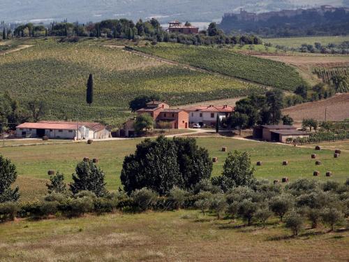 a field with a farm and a bunch of trees at Agriturismo Sanguineto in Acquaviva