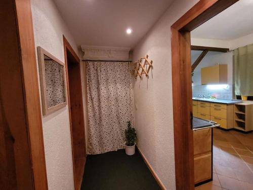 eine Küche mit einer Tür zu einem Zimmer mit einer Pflanze in der Unterkunft Gästewohnung " Am Harsdorf " in Magdeburg