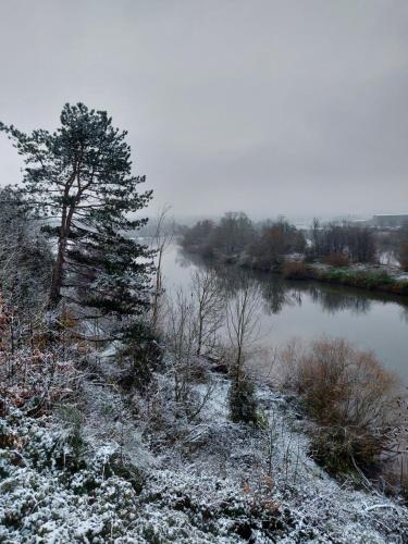 a tree standing next to a river in the snow at L'Éphém'Heer in Hastière-par-delà