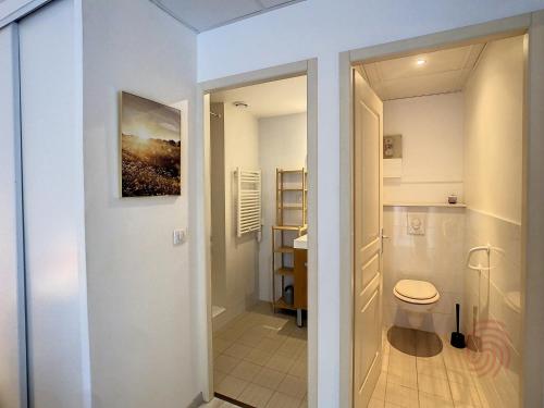 une salle de bain avec toilettes et lavabo dans l'établissement Appartement F2 tout équipé avec balcons, ascenseur et Wi-Fi, proche des thermes de Lamalou - FR-1-451-141, à Lamalou-les-Bains