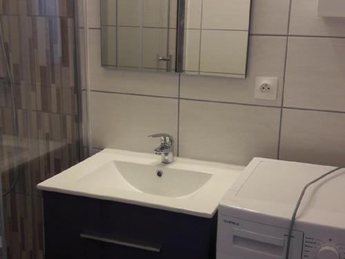ein Badezimmer mit Waschbecken und Waschmaschine in der Unterkunft T2 lumineux au centre-ville de La Roche-Posay, proche thermes, avec Wi-Fi et lave-linge - FR-1-541-1 in La Roche-Posay