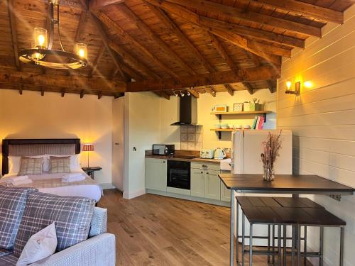 a living room with a bed and a kitchen at Wildlands Galway in Moycullen