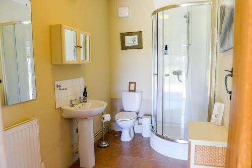 a bathroom with a toilet and a shower and a sink at Admiral's Cottage in Bridport