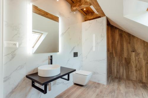 a bathroom with a sink and a toilet at Vila Cornelia in Banská Štiavnica