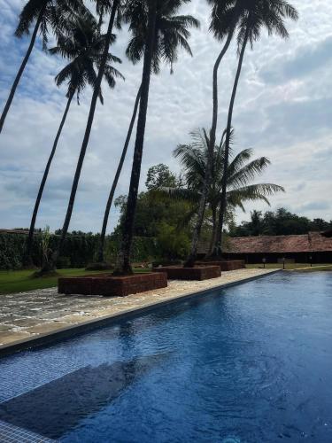 a swimming pool with palm trees in the background at Sawantwadi Palace Boutique Art Hotel in Sawantwadi