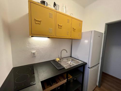 eine Küche mit einer Spüle und einem Kühlschrank in der Unterkunft O Tom Nevim in Sušice