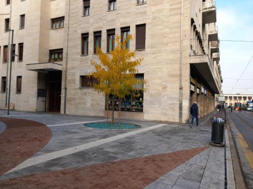 a tree in the middle of a street in front of a building at Takate Collection in Padova