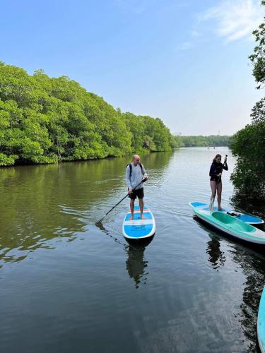 a man and a woman on paddle boards on a river at OHEI in Tangalle
