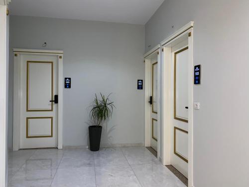 a hallway with two doors and a potted plant at Pilo Lala Hotel in Lushnjë