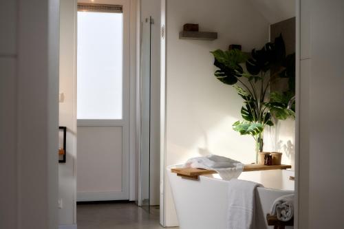 a bathroom with a white counter with a plant on it at De IJsvogel - Het échte Veluwegevoel in Voorthuizen