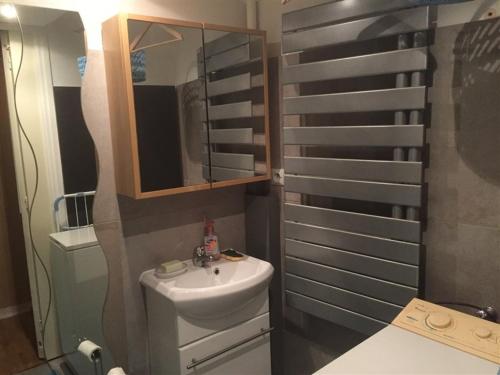 une salle de bain avec un lavabo et un miroir dans l'établissement F3 avec balcon, 2 chambres mezzanine, wifi, animaux acceptés, Mont-Dore - FR-1-415-71, à Le Mont-Dore