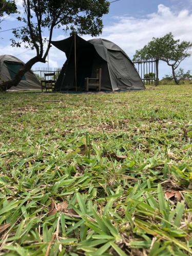 Manico Camp
