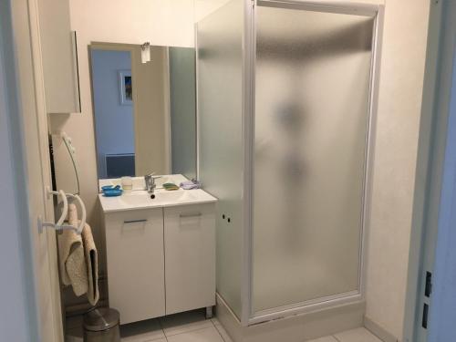 ein Bad mit einer Dusche und einem Waschbecken in der Unterkunft Appartement Fort-Mahon-Plage, 2 pièces, 4 personnes - FR-1-482-31 in Fort-Mahon-Plage