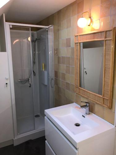une salle de bain avec une douche, un lavabo et un miroir dans l'établissement Maison de pêcheur+ jardin 5 min à pieds de la Baie, au Crotoy