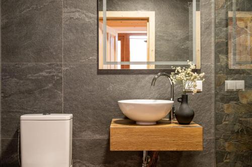 a bathroom with a sink and a mirror at Dom Tatrzański Ewa Deluxe in Kościelisko