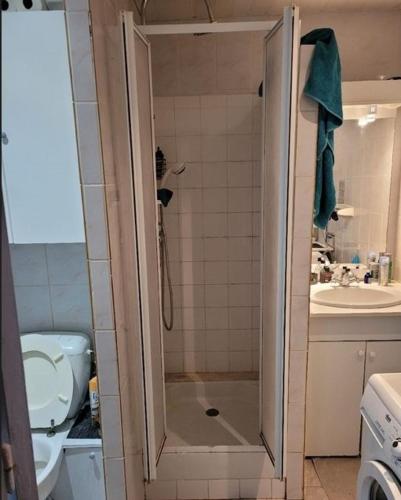 ein Bad mit einer Dusche, einem WC und einem Waschbecken in der Unterkunft Appartement f2 in Saint-Quentin