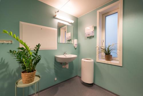 a green bathroom with a sink and a mirror at Trondheim Vandrerhjem in Trondheim