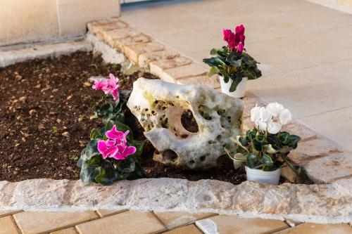 a garden with pink and white flowers and a rock at Pietra Fiorita Dimora in Conversano