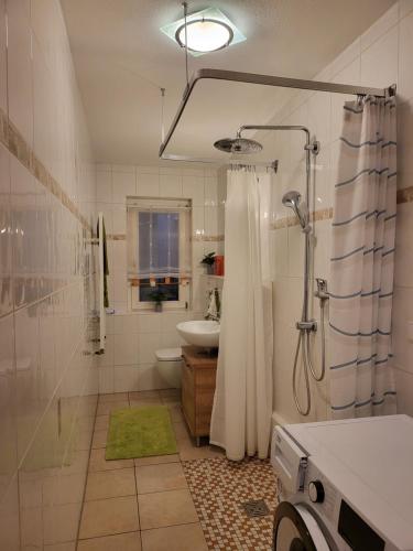 a bathroom with a shower and a toilet and a sink at Haus Nutheblick - Komfort Appartement in Trebbin