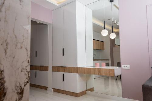 Η κουζίνα ή μικρή κουζίνα στο Apartman Dani Pale