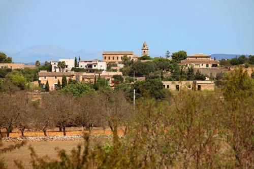 a town on a hill with trees and buildings at Finca Teuler Petit in Caʼs Concos