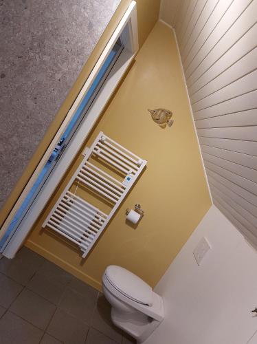 an attic bathroom with a toilet and a window at Ô Baguenaudes in Jalhay