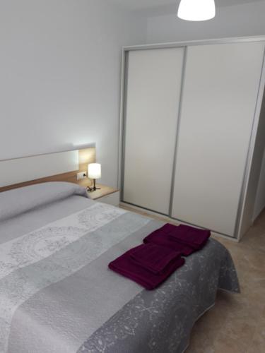 Un dormitorio con una cama con una toalla morada. en VFT LA PAZ II, en Baeza