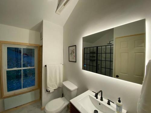 ein Badezimmer mit einem WC, einem Waschbecken und einem Spiegel in der Unterkunft Andes secluded Cottage in Margaretville