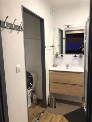 a bathroom with a sink and a mirror at LA JOUE DU LOUP SUPERBE APPARTEMENT A LA MONTAGNE Déco Architecte in Le Dévoluy