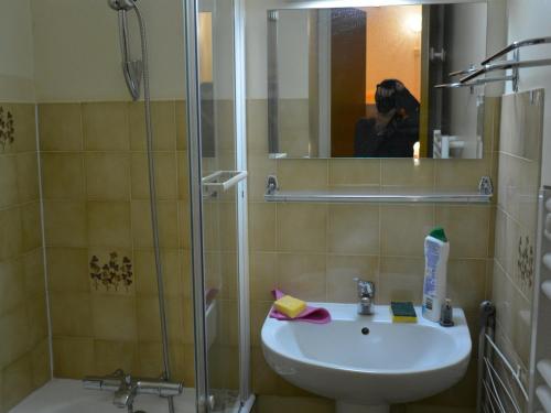 une salle de bain avec un lavabo et une douche dans l'établissement Appartement 2 pièces cabine, balcon, proche remontées mécaniques et loisirs, idéal 4 personnes - FR-1-263-32, à Valloire