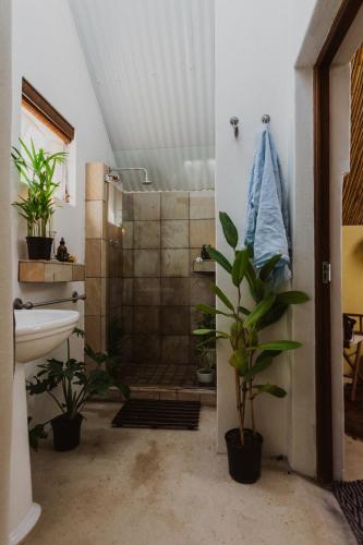 a bathroom with a shower with plants in it at Southern Yurts in Botrivier