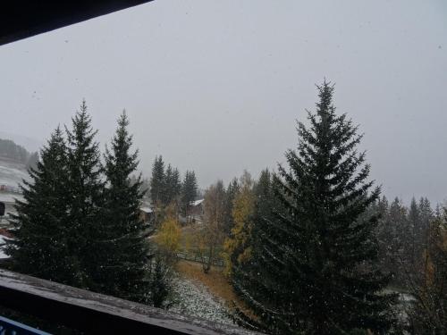 Photo de la galerie de l'établissement Studio 4 personnes à Arc 1800, balcon, animaux admis, parking payant - FR-1-411-306, à Arc 1800