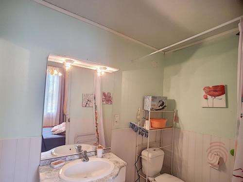 une salle de bain avec un lavabo, des toilettes et un miroir dans l'établissement Charmant F2 avec terrasse près du centre et des thermes, animaux acceptés, options de services disponibles - FR-1-451-31, à Lamalou-les-Bains