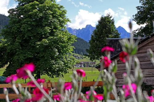 a field of flowers with mountains in the background at Dachstein 7 in Gosau